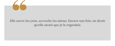 La colère d’Hadès (Styx riders #1) • Kalypso Caldin