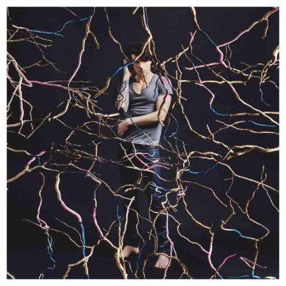 Nouvel Album: Arbre De Vie Louis Arlette