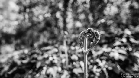 #mer transparente à #Trégunc #Bretagne #Finistère