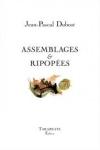 Jean-Pascal Dubost  Assemblages & ripopées 