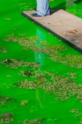 Life – OLAFUR ELIASSON à la Fondation Beyeler Life – OLAFUR ELIASSON à la Fondation Beyeler