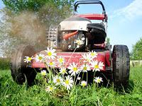 Tondre à l'électrique
