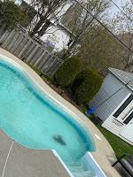 Crise Dans La Crise (Falloir) Crise Dans La Crise (Falloir)