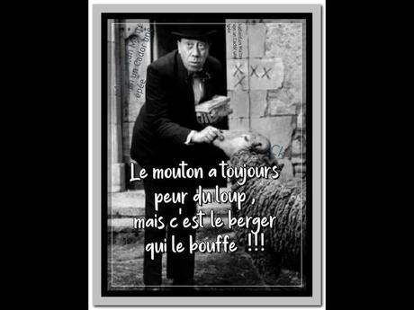 Divers - Réflexions et, ou Vérités