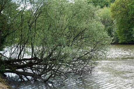 théorie des ensembles