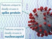 COVID-19 virus masque protéine pointe pour échapper anticorps