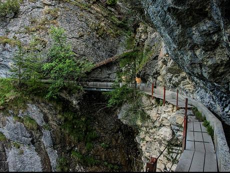 Pays Etrangers - La Suisse - Les Bisses