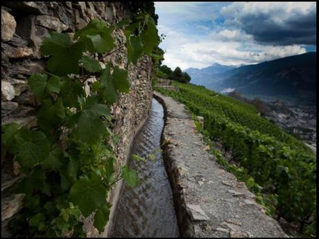 Pays Etrangers - La Suisse - Les Bisses