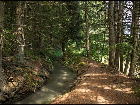 Pays Etrangers - La Suisse - Les Bisses