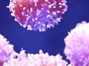 HOMÉOSTASIE IMMUNITAIRE plus solide avec l’âge