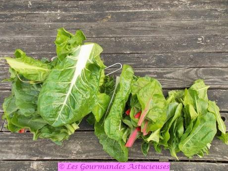 Comment bien conserver les légumes verts ?