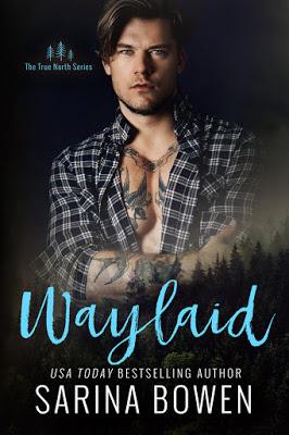 Cover reveal : Découvrez le résumé de Waylaid de Sarina Bowen