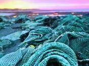 sel, Jean-Baptiste Amo… objectif mois