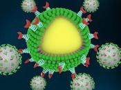 COVID-19 nano-pièges coronavirus