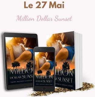 Cover reveal : découvrez la couverture et le résumé de Million Dollar Sunset de Tamara Balliana et Estelle Every