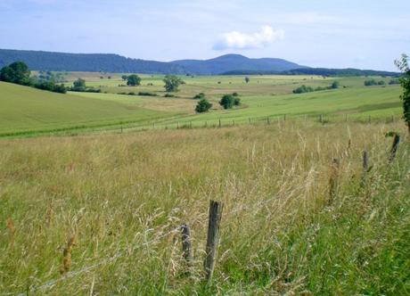 Envie d'évasion en Alsace-Lorraine - Les Vosges du Nord © French Moments