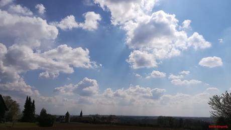 Projet 52-2021 #17 – Lever les yeux