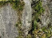 Alter Südlicher Friedhof München Bilder Ancien cimetière Munich