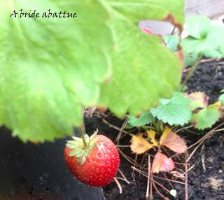 Quand Pierre Gagnaire anime un atelier live pour Mentor Show