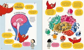 Mon grand livre illustré: Le cerveau