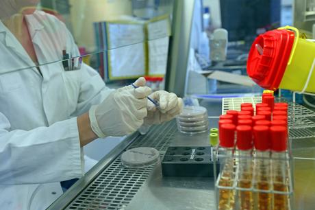 Cet antidiabétique bien connu, la metformine, pourrait protéger contre une infection dangereuse, l’infection à Clostridioides difficile (Visuel Fotolia) Cet antidiabétique bien connu, la metformine, pourrait protéger contre une infection dangereuse, l’infection à Clostridioides difficile (Visuel Fotolia)