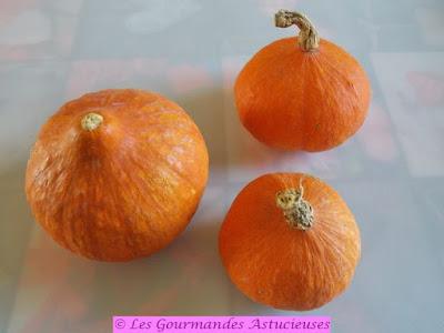 Gâteau salé au Potimarron (Vegan et sans gluten)