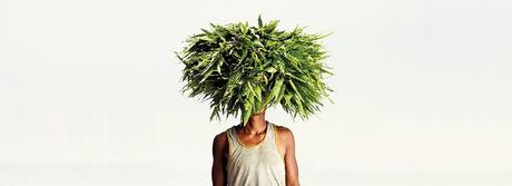 Les Nuits de Fourvière 2021 – La Programmation