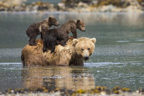 Un photographe décrit un nouveau livre de portraits intimes