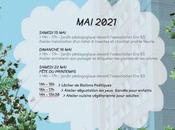 Verdir cordon ensemble