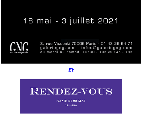 Galerie GNG exposition Hollebecq