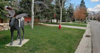 Cet élan roule pour vous !