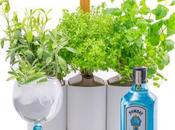 Bombay Sapphire présente Giny Garden, avec Prêt Pousser