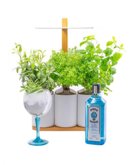 Bombay Sapphire présente son Giny Garden, avec Prêt à Pousser