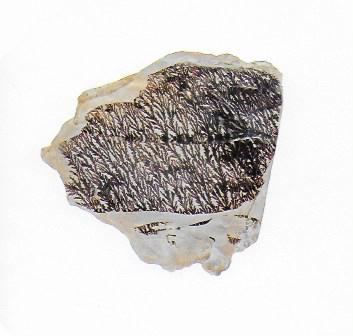 Roger Caillois - La lecture des pierres - mai 2021 lecturedespierres