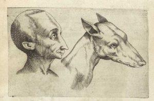 L’homme un animal sociable ?