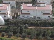 Cinq pays européens demandent Israël stopper colonisation dans territoires palestiniens