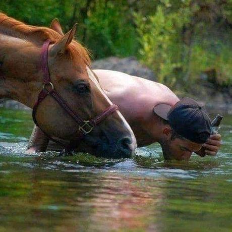 Suivre les animaux pour apprécier les bienfaits de la nature