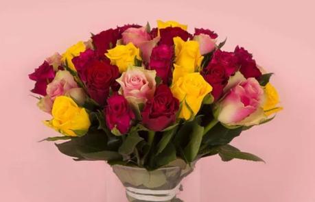 bon plan fleurs loisirs encheres