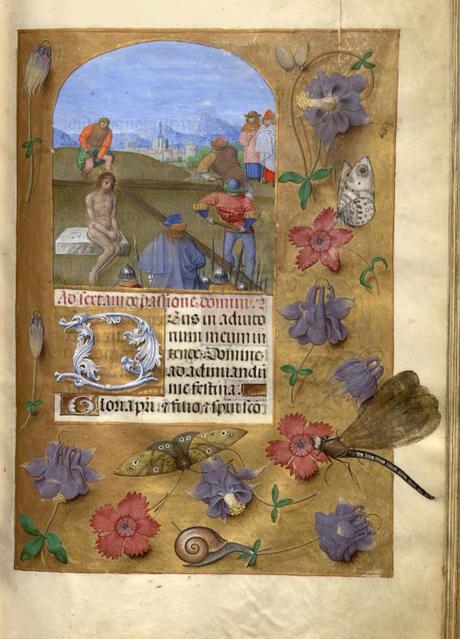 1483-98 Horae Beatae Mariae Virginis (La Flora, pour Charles VIII) Biblioteca nazionale Napoli Ms. I. B. 51 fol 45