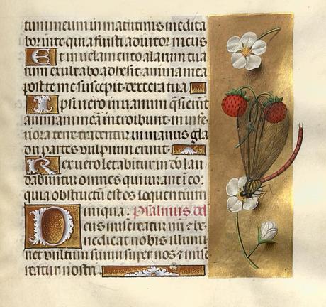 1483-98 Horae Beatae Mariae Virginis (La Flora, pour Charles VIII) Biblioteca nazionale Napoli Ms. I. B. 51 fol 224
