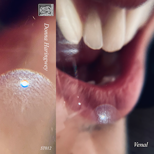 Donna Haringwey Donna Haringwey