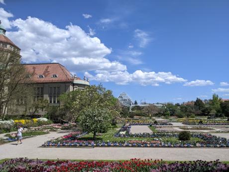 Botanischer Garten München Nymphenburg 10.05.2021 — 17 Bilder