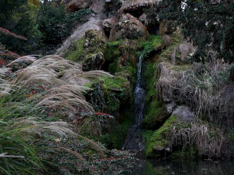 Balade naturaliste au parc de Bagatelle