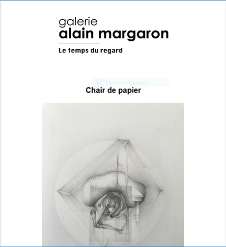 Galerie Alain Margaron « Le temps du regard » Chair de papier