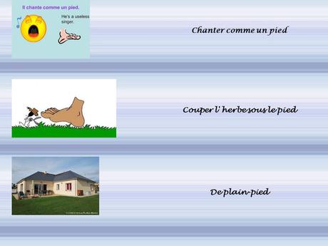 Divers - Le pied dans tous ces états