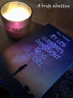 Et les lumières dansaient dans le ciel d'Eric Pessan Et les lumières dansaient dans le ciel d'Eric Pessan