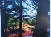 Marilyse Leroux Marée basse