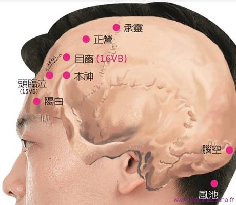 Le point Mu Chuang du méridien de la vésicule biliaire (16VB)
