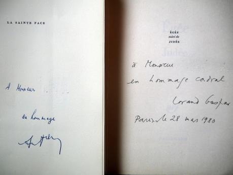 Cri blanc dans la chute sombre d'une falaise