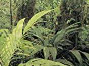 aye-aye Gerald DURRELL